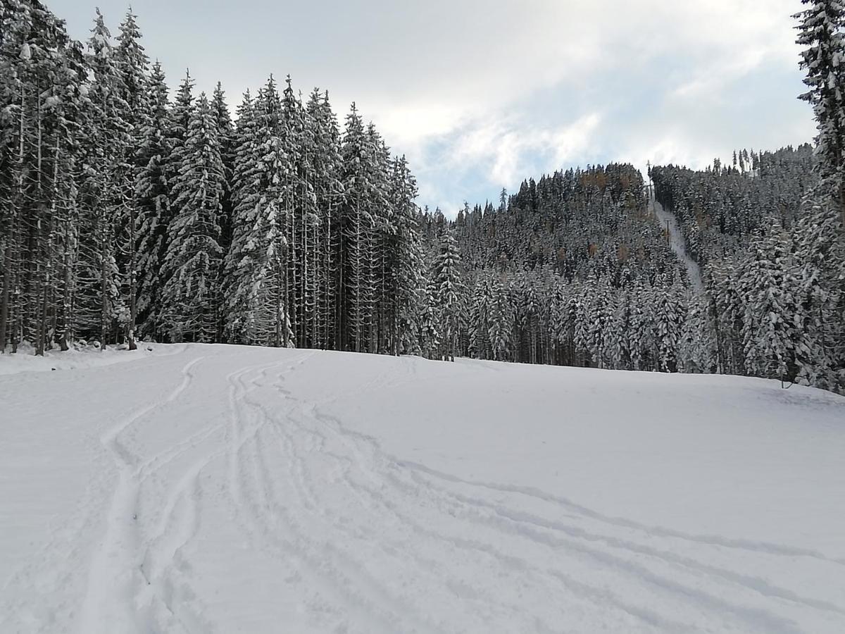 Ferienwohnung Mit Blick Auf Die Buchensteinwand Hochfilzen Exterior photo